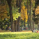 让灰色变绿:重新开放户外