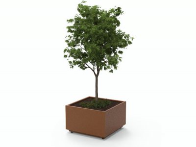 蕨广场种植者-Corten