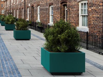 蕨广场种植者-PPC