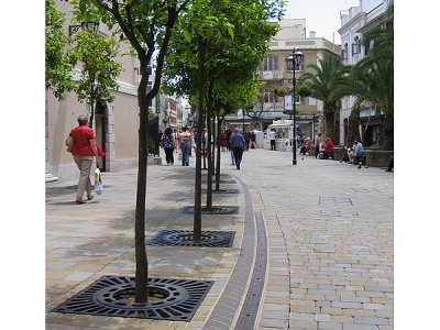 格林威治广场树格栅