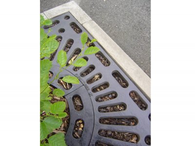 格林威治广场树格栅