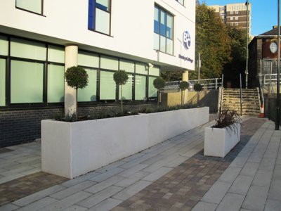 提供给Bexley学院的混凝土园